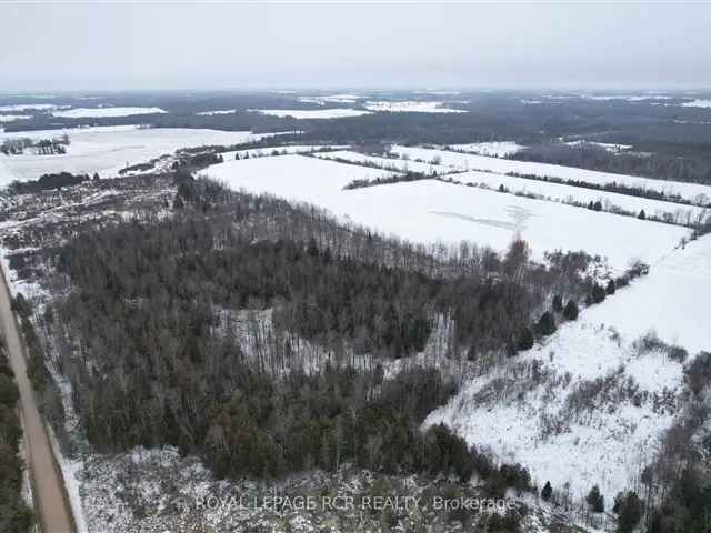 101.08 Acres Vacant Farmland Near Orton