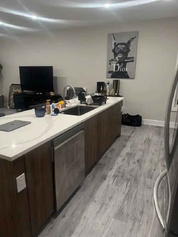2 Bedroom 1 Bath Modern Apartment Available May 1