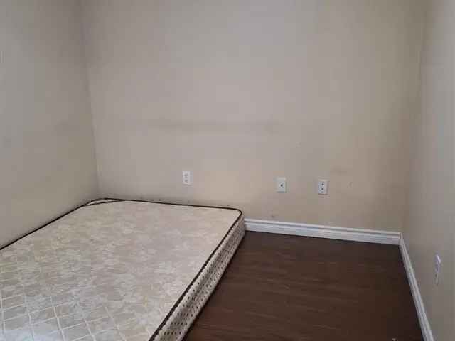 1 Bedroom Basement Apartment Near Markham Road and Steeles Ave