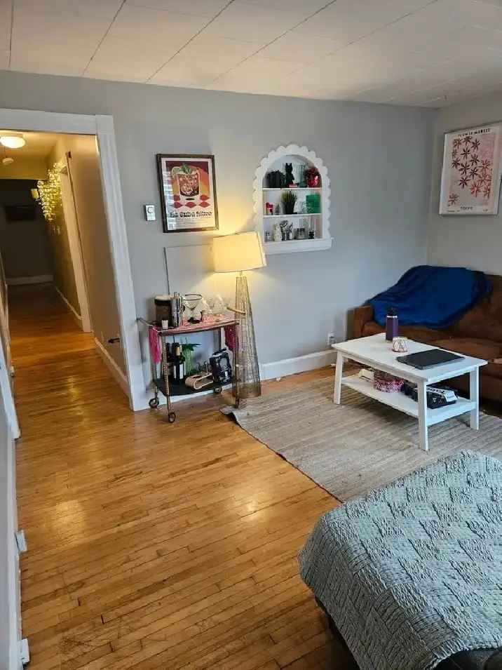 Rent 2 Bedroom Apartment Downtown with 2 Bathrooms and Modern Amenities