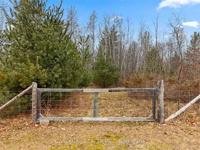 Adorable Bungalow In The Woods Sleeps 6 Near Bon Echo Provincial Park