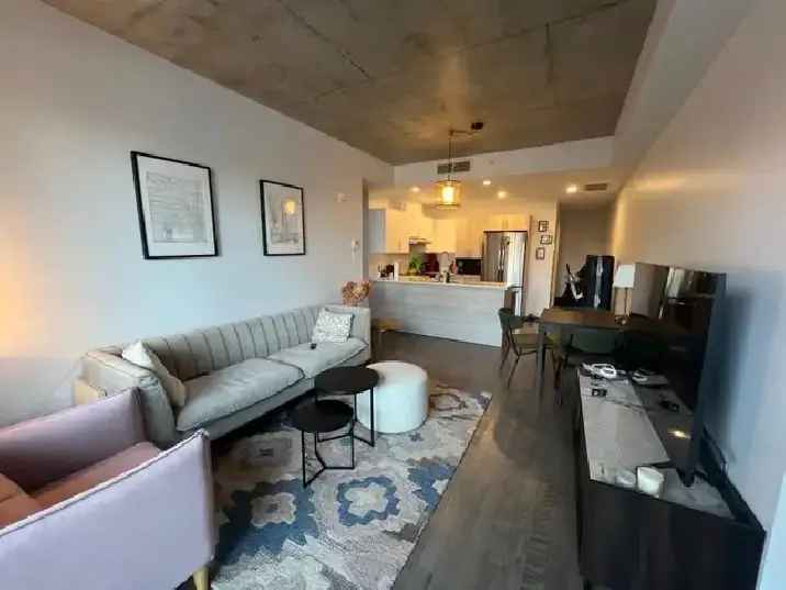 Condo 4.5 Mile End Meublé Touts Inclus, Garage