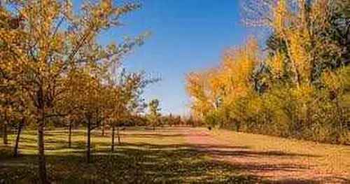 House For Sale In Montgomery, Calgary, Alberta