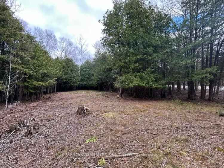 25 Acre Wooded Lot near Merrickville - Build Your Dream Home