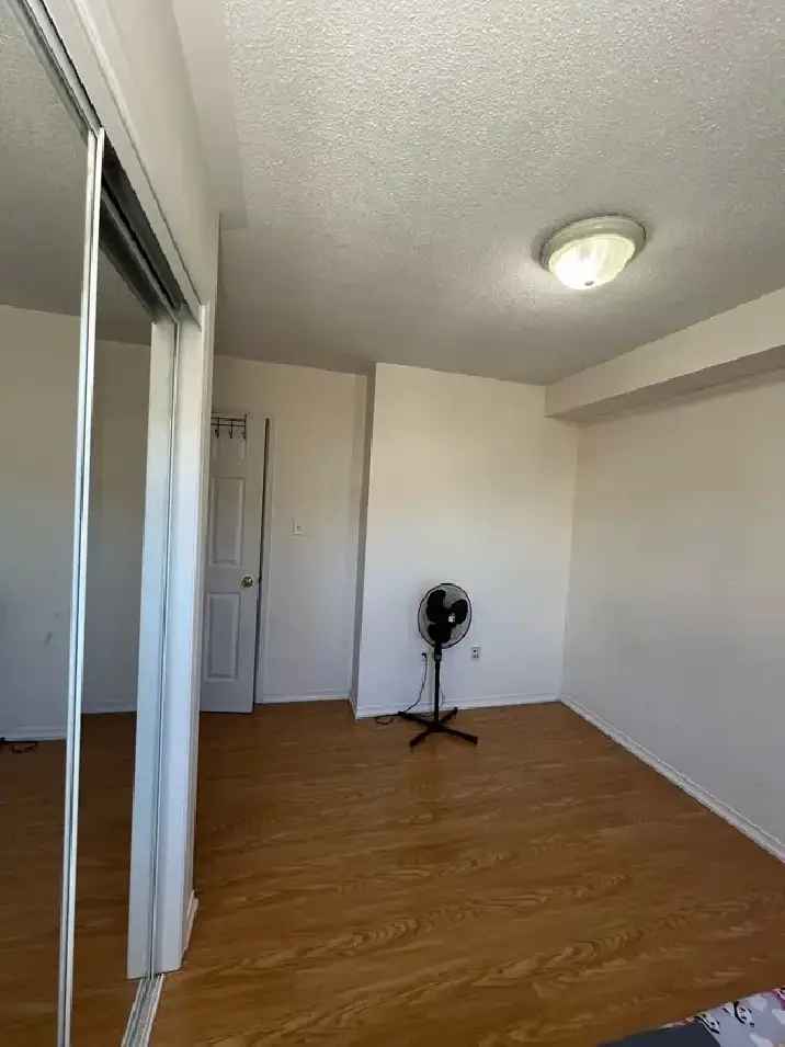 Room for Rent (Roommate Needed)