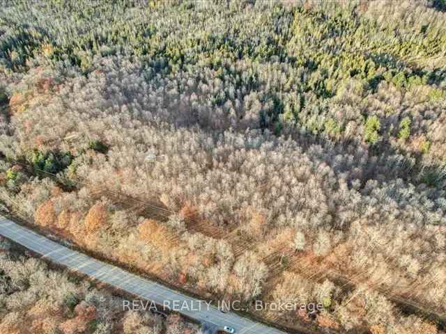 10 Acre Forested Building Lot Buckshot Lake Road Vennachar