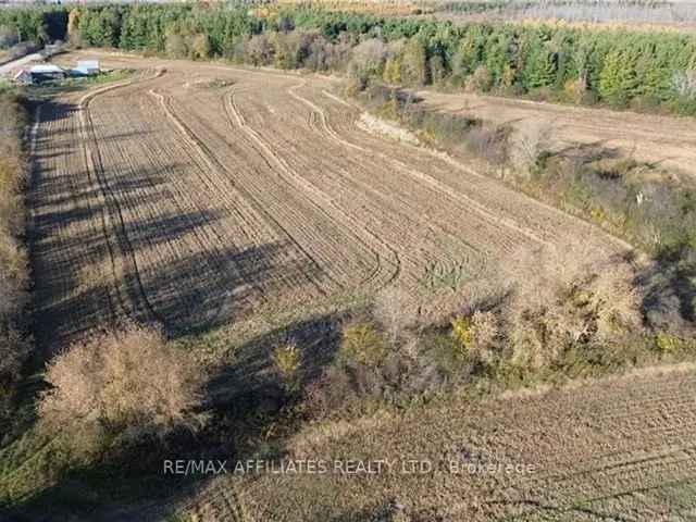 2.5 Acre Land Parcel Escape to Tranquility