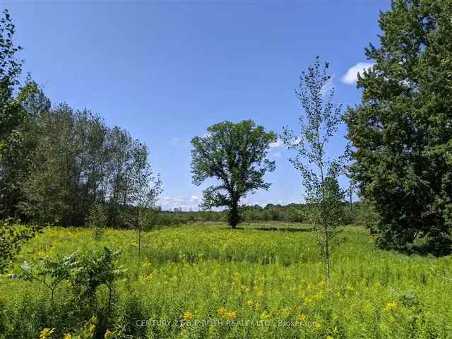 236 Acres North of Snow Valley - Estate Home Ranch Eco Farm Opportunity