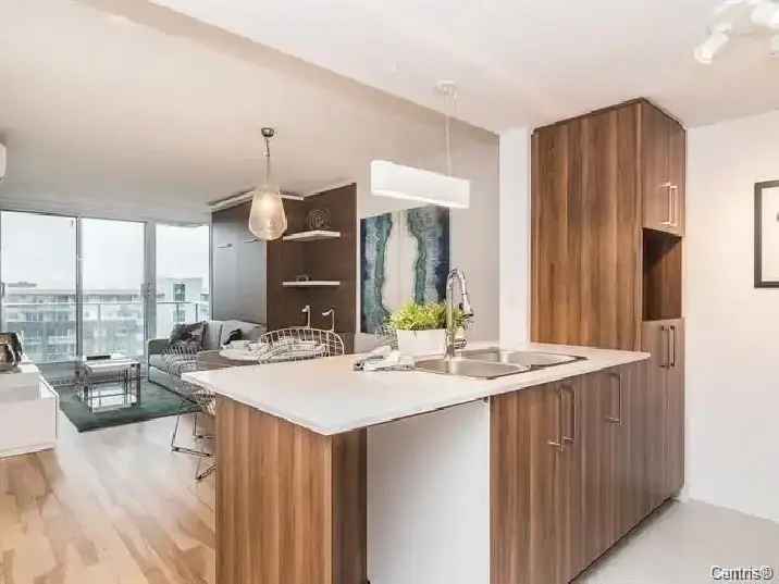 Apartment for RENT $1480/month, Fully Furnished,Available july 1