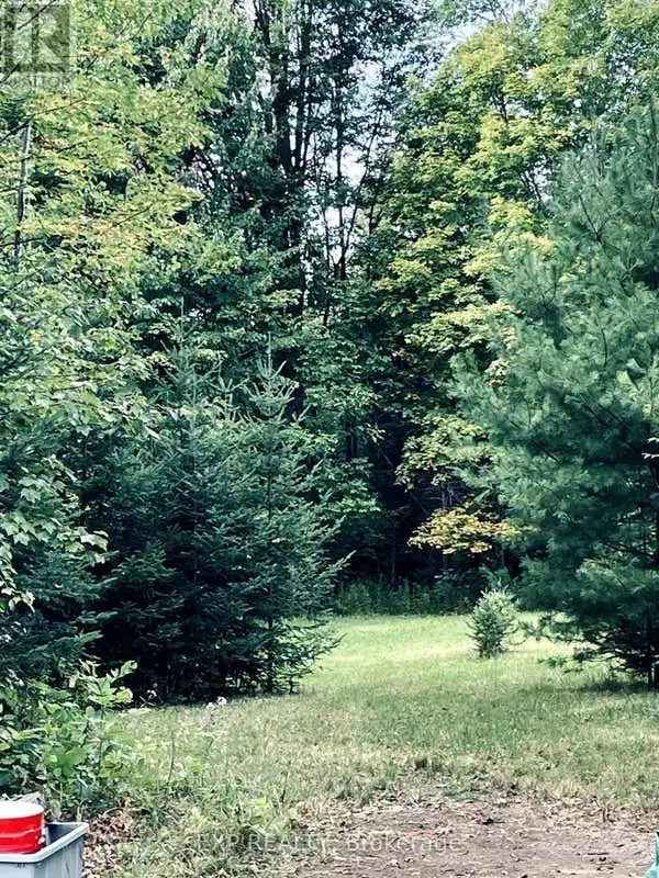 One Acre Wooded Building Lot with Amenities