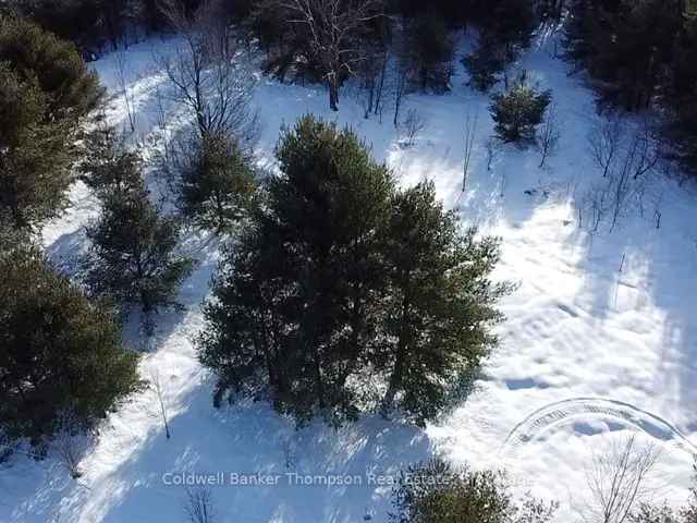 Private 2-Acre Building Lot Near Washago - Nature Lovers Paradise