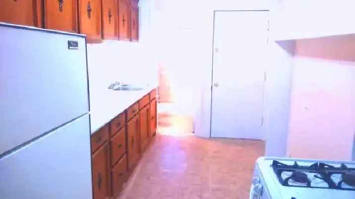 Homey Furnished 2-Bedroom Apartment for Rent in Downtown