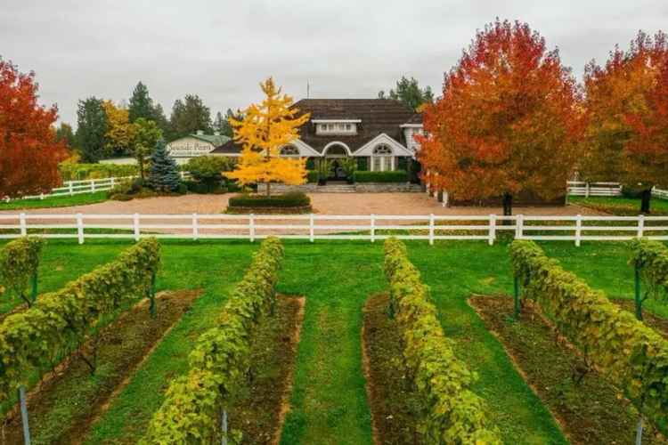 Sprawling Winery and Equestrian Estate Hits the Abbotsford Market