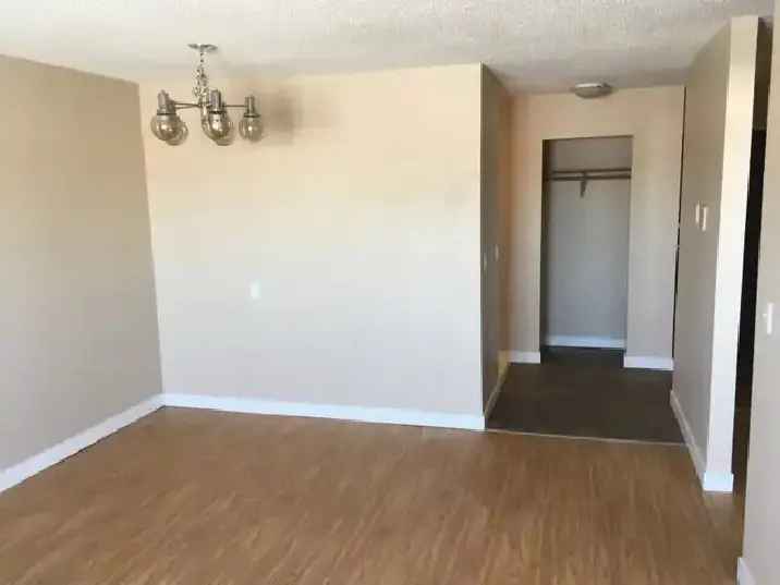 Millet Suite For Rent Pet Friendly