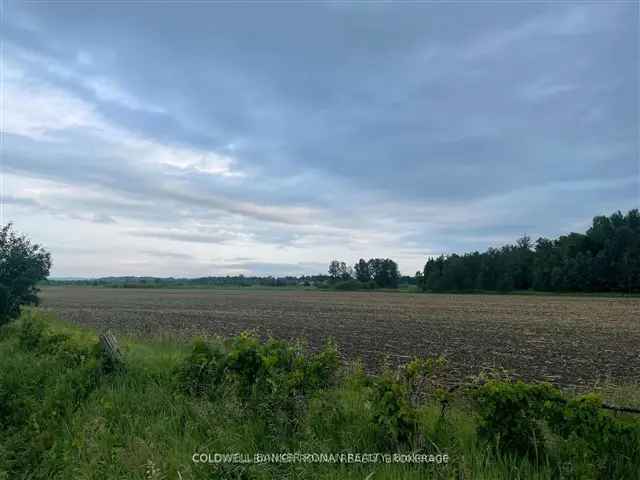 Land For Sale in Adjala–Tosorontio, Ontario