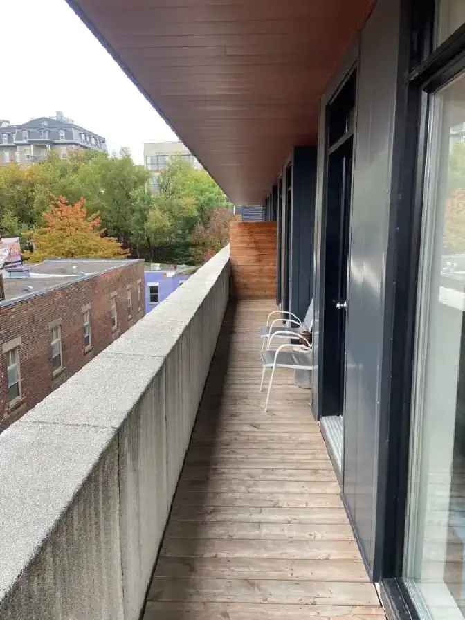 Grand appartement centre ville / Large apartment downtown