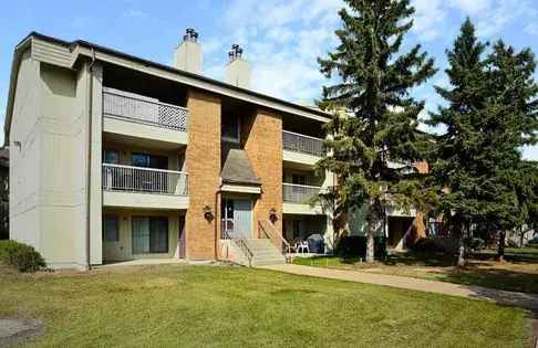 1 room apartment of 66 m² in Edmonton