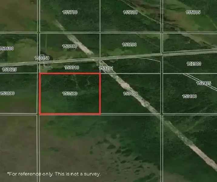 Buy Land in Sundown 160 Acres Treed Recreational Property