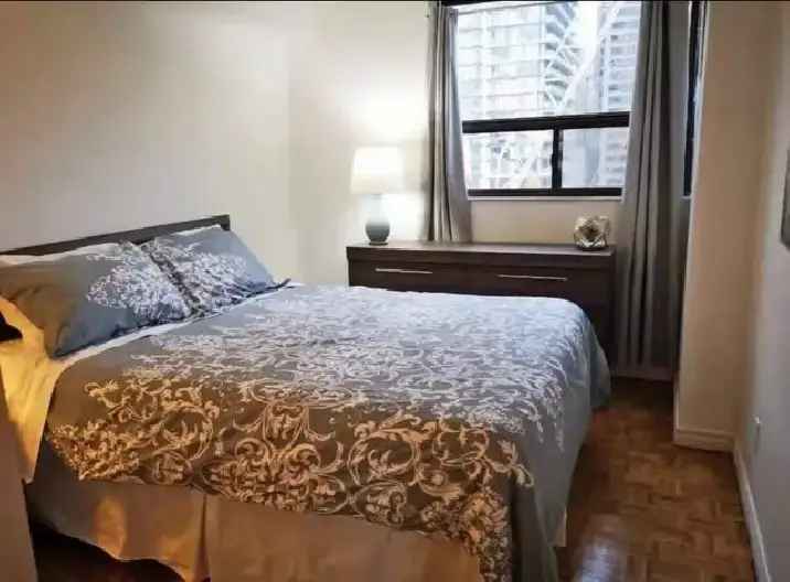 Downtown Toronto Fully Furnished One Bedroom Condo For Rent