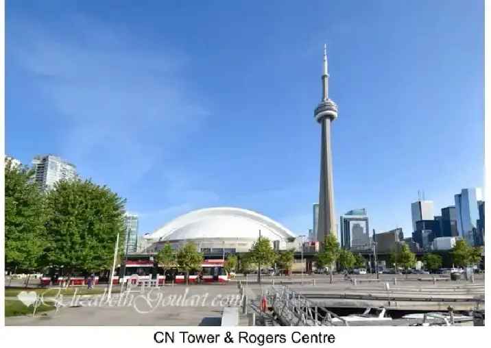 Luxury Furnished 2BD 2BA Condo for Rent Downtown Toronto/Jan 1st