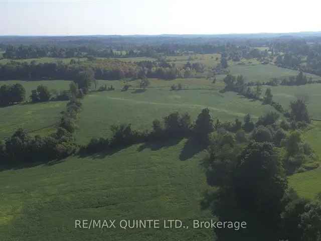 4 Bedroom Stone House on 90 Acres with Outbuildings