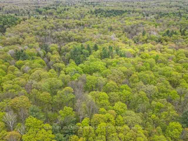 97 Acres Untouched Wilderness w Cabin Road Frontage Abundant Wildlife