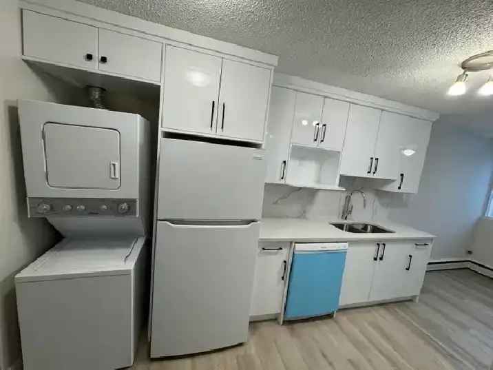 Rent Fully Renovated Two Bedroom Condo in Westbrook Southwest