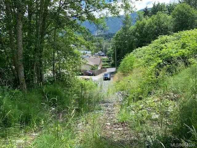 Lake Cowichan Lot for Sale: Peaceful Privacy near Amenities