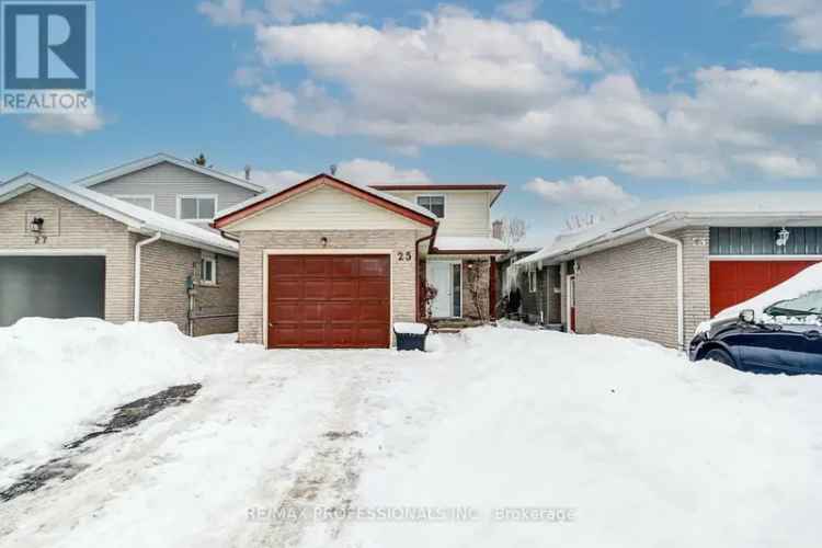 3 1 Bedroom Home in Laurentian Hills  All Levels Renovated