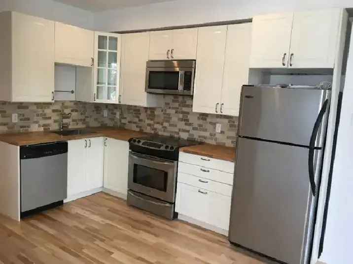 Renovated 4 1 2 in Little Italy Near Jean Talon Market
