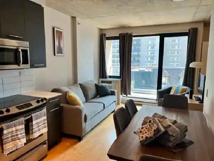 Downtown MTL Furnished Condo All Inclusive Rooftop Pools Gym