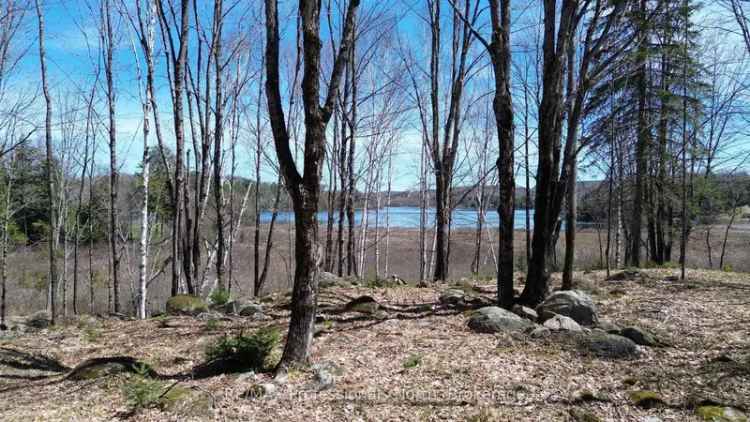 House For Sale , Dysart et al, Ontario