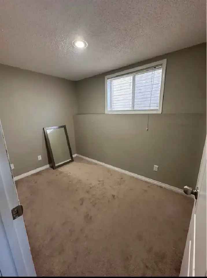 1 room for rent in basement