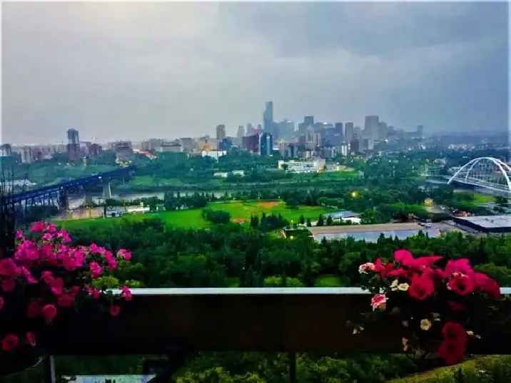 1 Bdrm Riverview Condo for Rent June 1