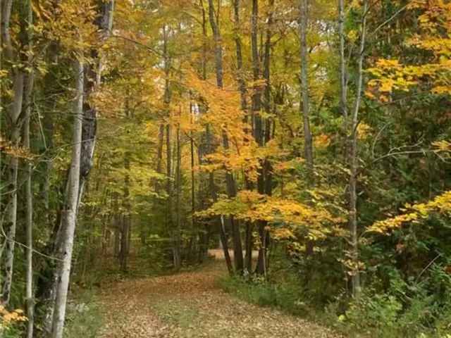 6.5 Acre Treed Lot Ideal For Dream Home in West Grey