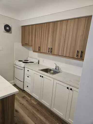 Fully Renovated 1-Bedroom Apartment near Red Hill Valley Parkway