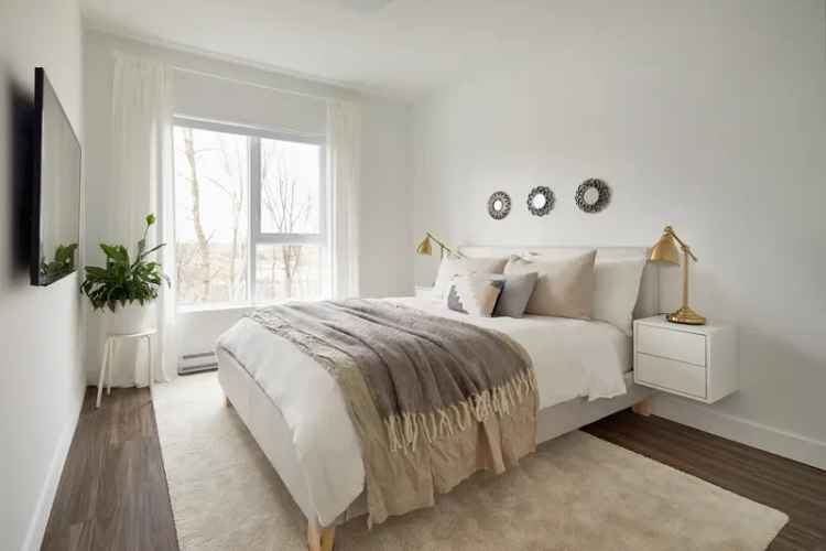 New 3 1 2 Condo for Rent in Pierrefonds Nova Pet Friendly