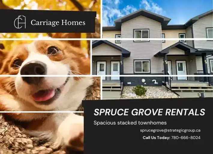 Rent Modern Apartment in Spruce Grove with Incentives and Spacious Layout