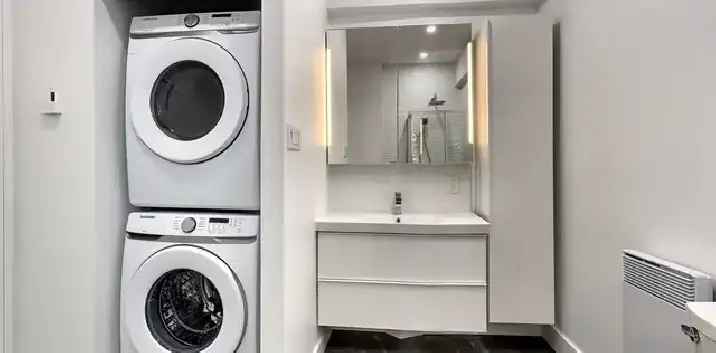 Superb Renovated 6 1/2 Near Beaudry Metro