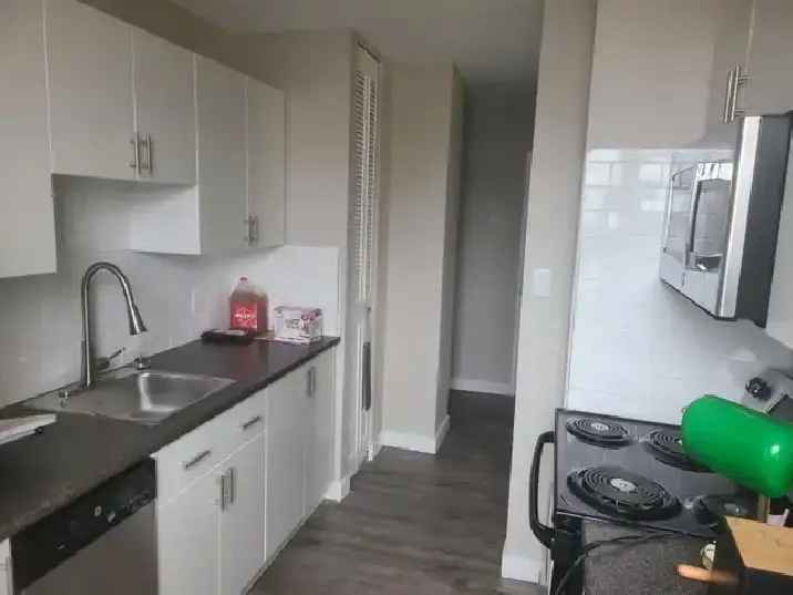 Spacious, Affordable 1 Bedroom Apartment downtown Edmonton