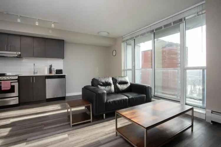 Rent Apartment in Edmonton with Stunning City Views and Amenities