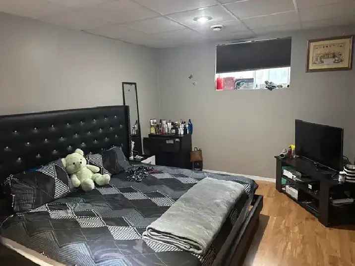 Room for rent main floor