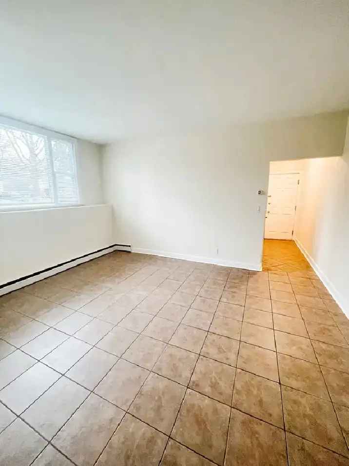 Heated Downtown 1 Bedroom | Nov or Dec 1st |