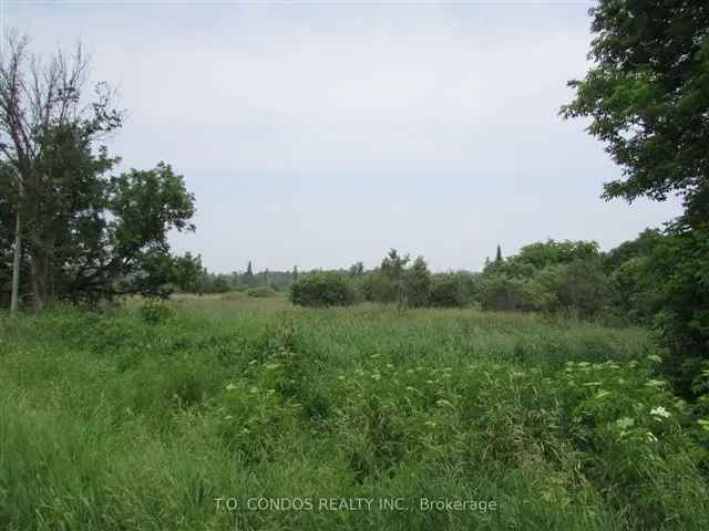 8.28 Acres Vacant Land East Gwillimbury Dream Home Opportunity