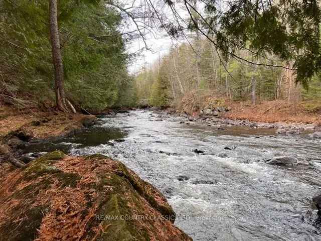 York River Waterfront Lot 50 Acres Complete Privacy