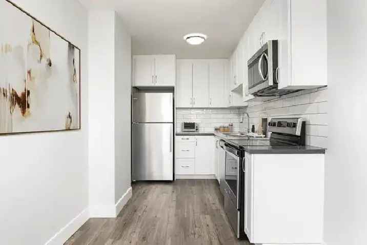 1 Bedroom Apartment for Rent - 619 Woodbine Avenue