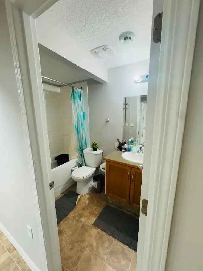 1 Bedroom Basement Suite for Rent Calgary NE