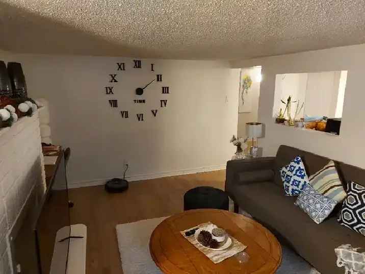 1 Bedroom Sandy Hill Basement Apartment (50 Russell Ave)