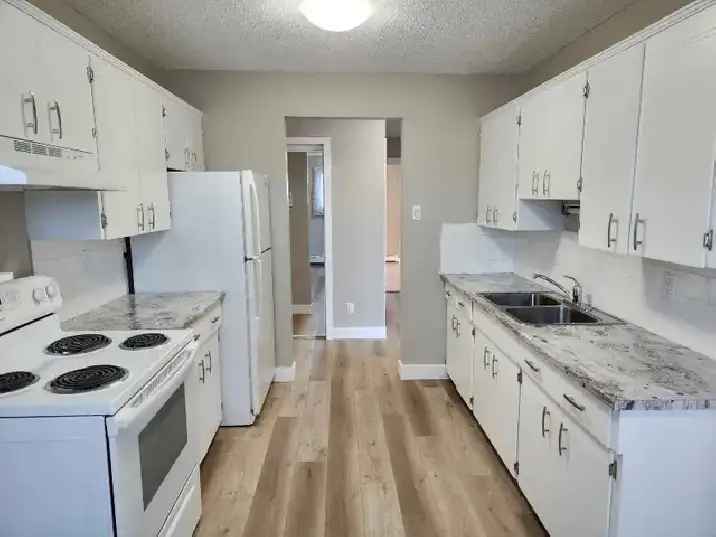 May 1st Two Bedroom Apt (Full Reno)