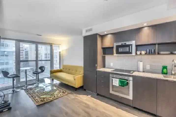 Furnished one-bdr condo, Yonge-Gerrard, asap